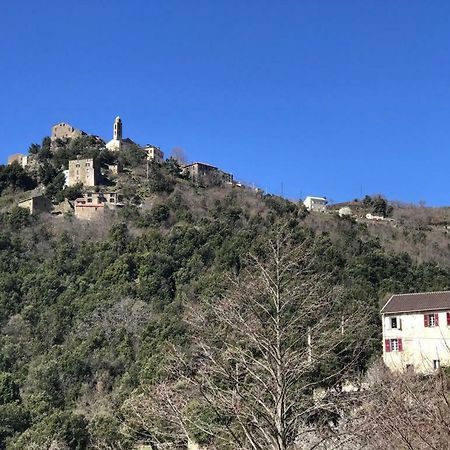 Camping L'Agrottu Au Coeur De La Corse 호텔 Santa-Lucia-di-Mercurio 외부 사진