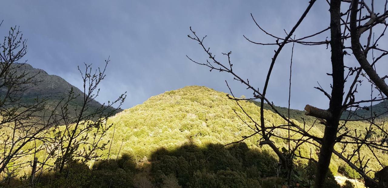 Camping L'Agrottu Au Coeur De La Corse 호텔 Santa-Lucia-di-Mercurio 외부 사진