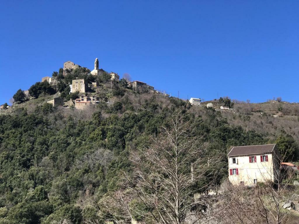 Camping L'Agrottu Au Coeur De La Corse 호텔 Santa-Lucia-di-Mercurio 외부 사진