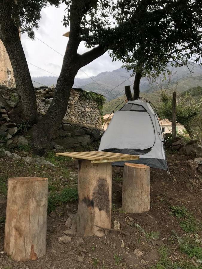 Camping L'Agrottu Au Coeur De La Corse 호텔 Santa-Lucia-di-Mercurio 외부 사진