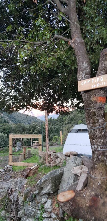 Camping L'Agrottu Au Coeur De La Corse 호텔 Santa-Lucia-di-Mercurio 외부 사진