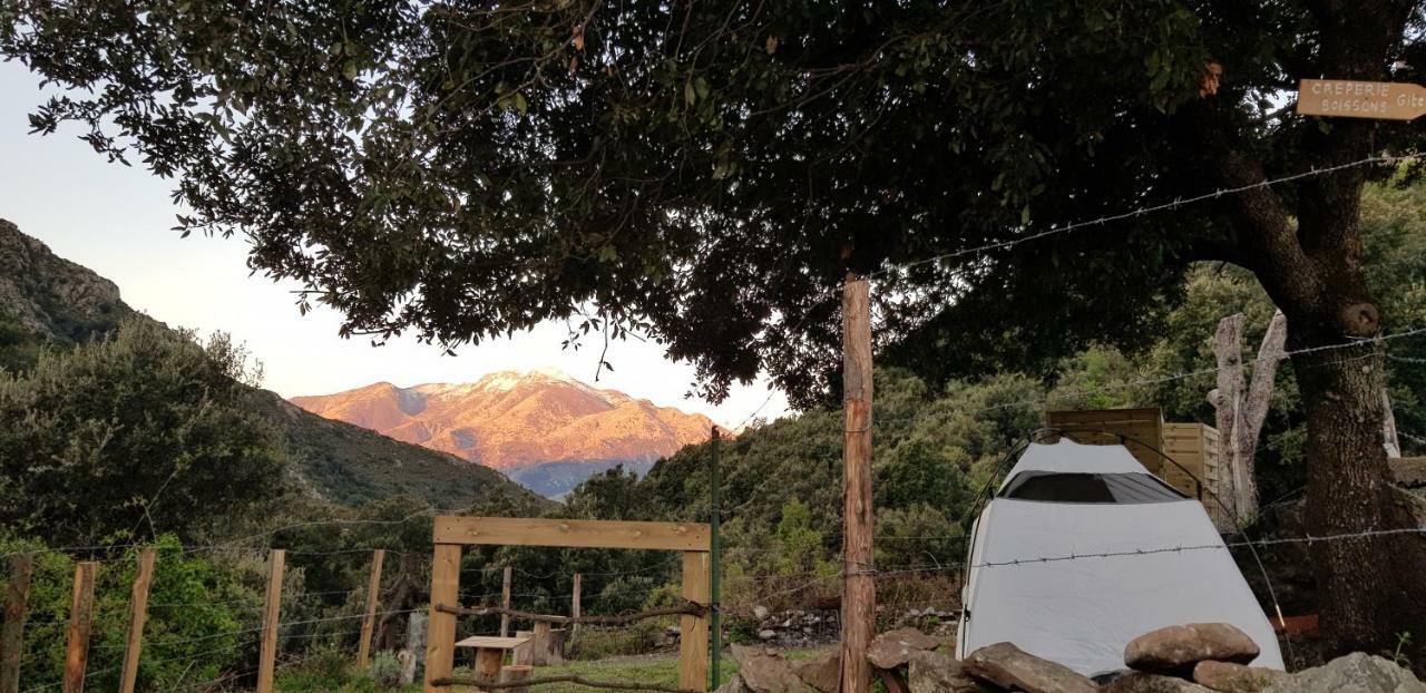 Camping L'Agrottu Au Coeur De La Corse 호텔 Santa-Lucia-di-Mercurio 외부 사진