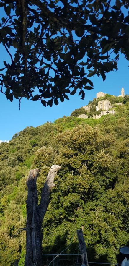 Camping L'Agrottu Au Coeur De La Corse 호텔 Santa-Lucia-di-Mercurio 외부 사진